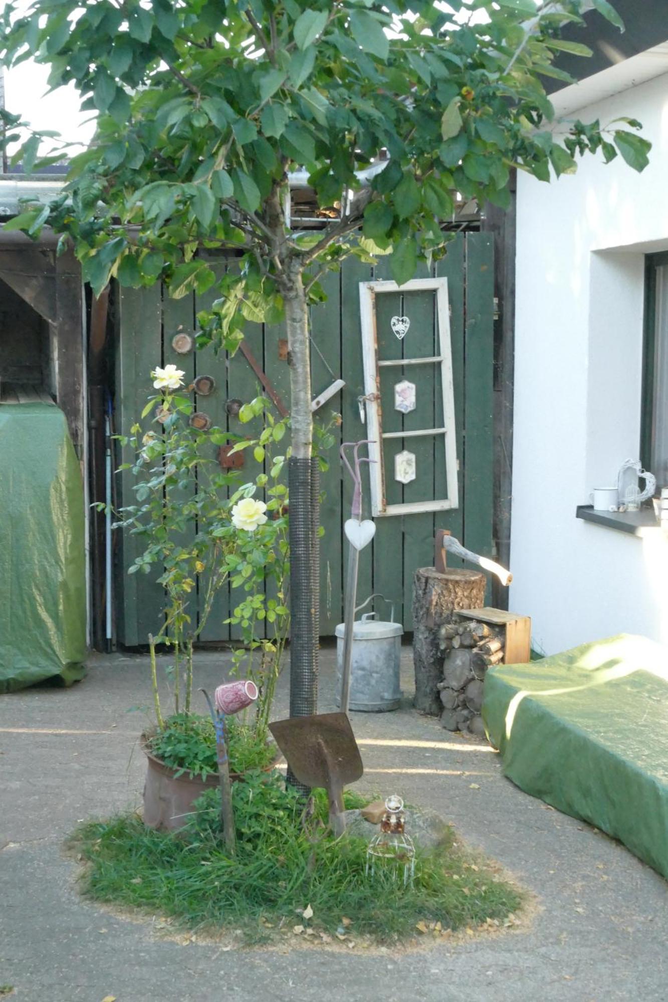 Ferienhaus Mit Minibauernhof Münster Eksteriør billede